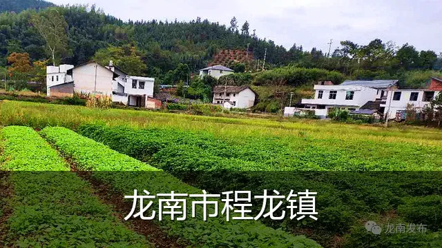 龙南市程龙镇